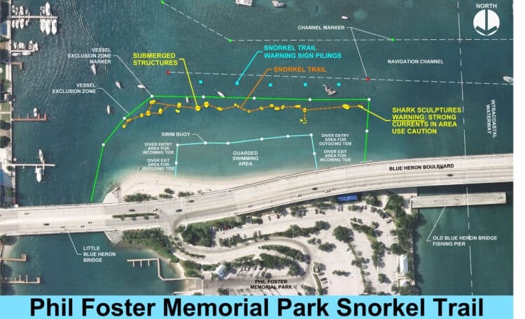 Snorkeling trail at Phil Foster Park is full of easy-to-see sea life 4 phil foster park snorkel trail 2024 6 10 phil foster state park Snorkeling trail at Phil Foster Park is full of easy-to-see sea life