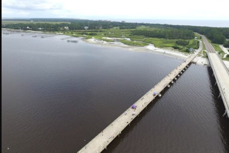 Best boardwalks in Florida provide easy access for all 13 best boardwalks in florida 2025 11 George crady bridge boardwalk Best boardwalks in Florida provide easy access for all