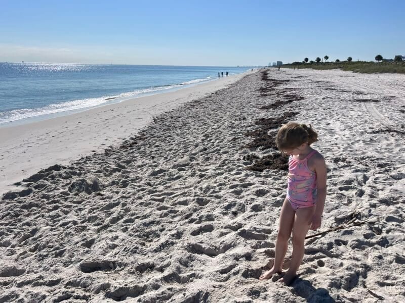 Seven fantastic things to do with young kids in Fort Lauderdale and the region 8 The long wild beach at Mizell-Johnson State Park. (Photo: Bonnie Gross)