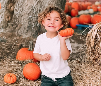 A visit to the pumpkin patch is seasonal fun at a Florida Harvest Festival. Photo courtesy Amazing Grace Crop Maze