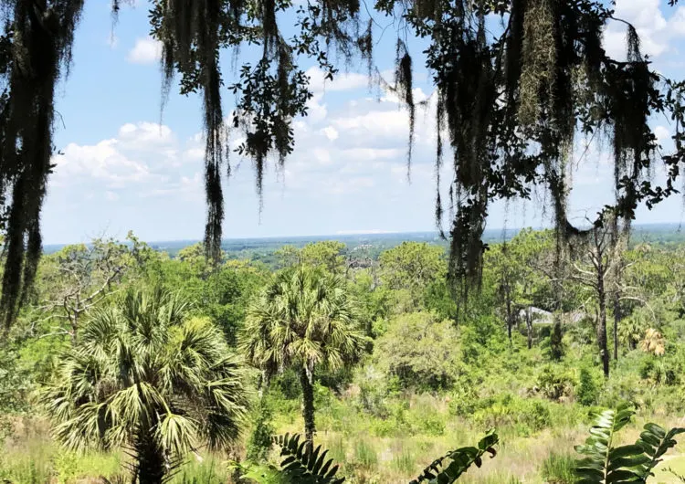 This is the view that inspired Edward Bok to purchase this piece of land set atop one of the highest peaks in Florida. (Photo: Deborah Hartz-Seeley)