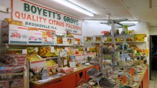 Florida roadside attractions: The gift shop at Boyett’s Citrus in Brooksville. (Photo: Doug Alderson.)