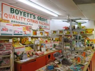Florida roadside attractions: The gift shop at Boyett’s Citrus in Brooksville. (Photo: Doug Alderson.)