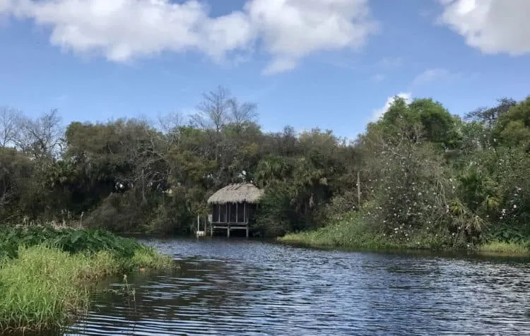 Between Jiggs Landing and Linger Lodge, the Braden River is largely lined with homes on at least one side, but most of the time, these make for interesting scenery. (Photo: Bonnie Gross)