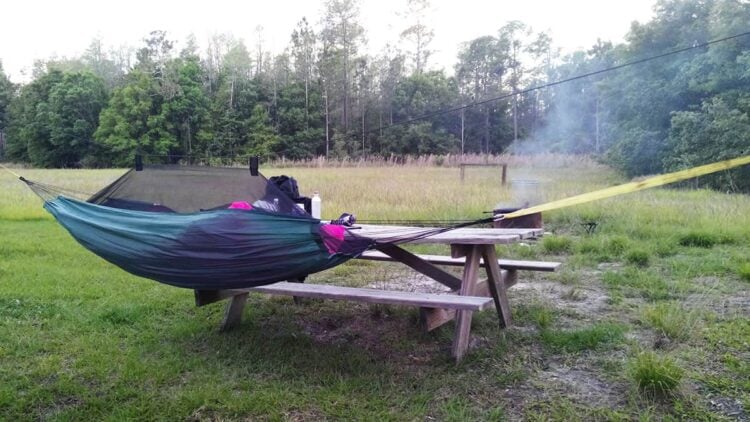 Colt Creek State Park: Haven for trail walkers, off-road cyclists and wildlife. Great camping, too! 6 My campsite at Colt Creek State Park