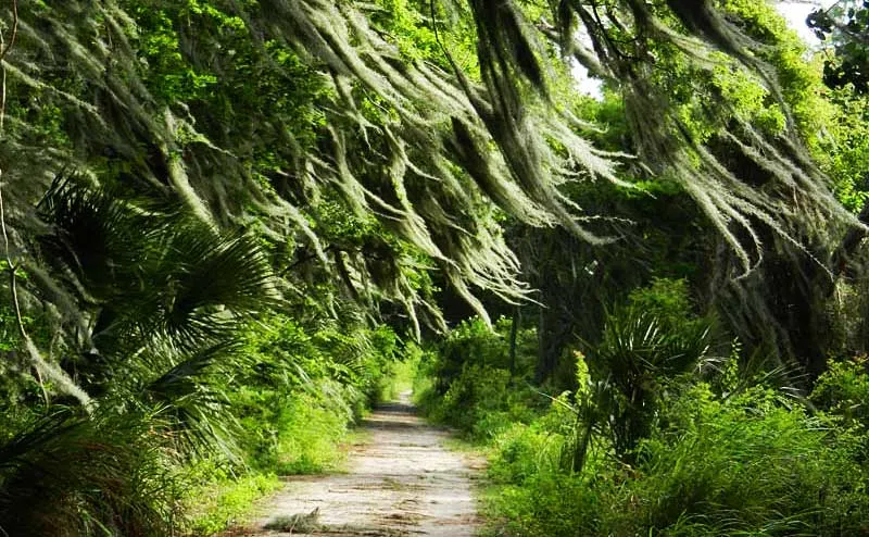 best county parks Circle b bar reserve moss Florida's best county parks are hidden treasures