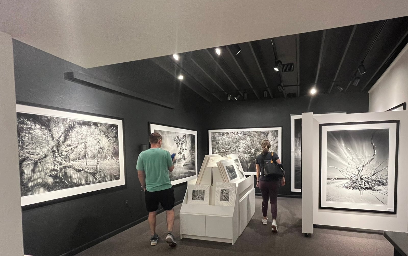 Tamiami Trail: Scenic drive exploring Everglades 4 Along the Tamiami Trail: Clyde Butcher's Gallery in Big Cypress. (Photo: Bonnie Gross)