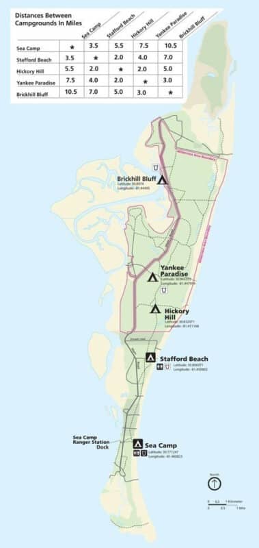 Cumberland Island: Magical coastal adventure at state line 8 cumberland island Cumberland Campground Map Cumberland Island: Magical coastal adventure at state line