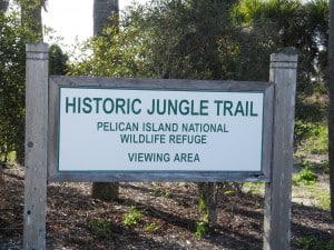 Jungle Trail at Pelican Island National Wildlife Refuge