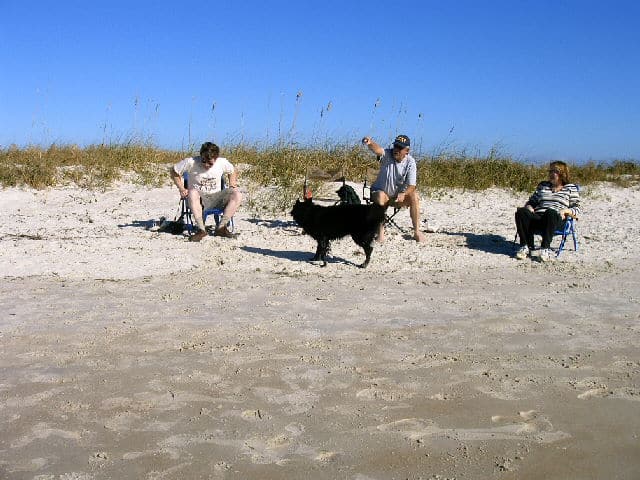 Dog friendly beach in florida at Smyrna Dunes Park