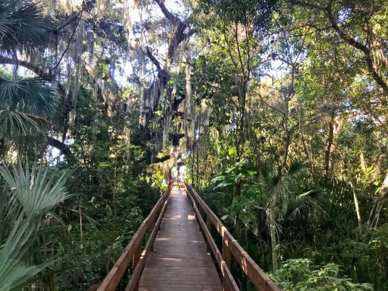 Emerson Point Preserve: Four reasons to discover this jewel in Palmetto 2 Emerson Point Preserve: A boardwalk takes you over the jungly Portavant Temple Mound, an archaeological site listed on the U.S. National Register of Historic Places. (Photo: Bonnie Gross)
