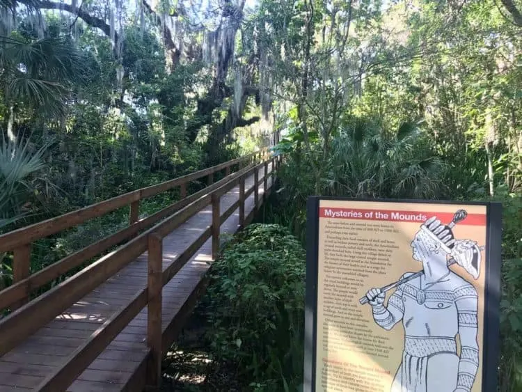 Emerson Point Preserve is an exceptional county park, off the beaten path on the southern end of Tampa Bay. There is excellent hiking and kayaking. A real gem is the Portavant temple mound. (Photo: Bonnie Gross)