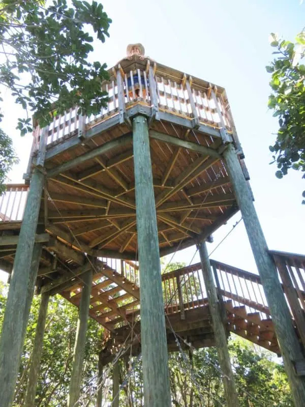 The observation tower on a hiking trail at Emerson Point Preserve in Palmetto (Photo: David Blasco)