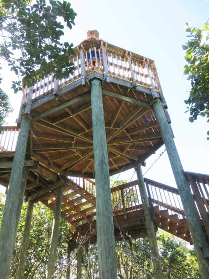 Emerson Point Preserve: 4 reasons to discover this jewel in Palmetto