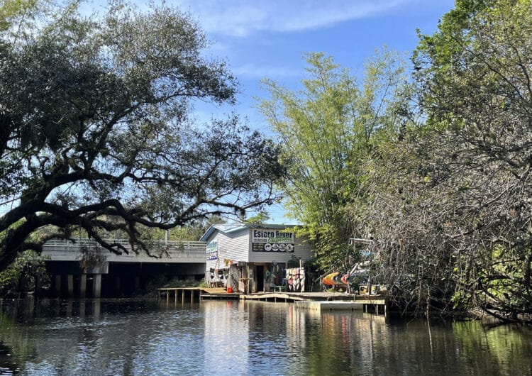 Upstream on Estero River is a gem for kayakers near Naples and Fort Myers 5 Estero River Outfitters is the place to rent kayaks, canoes or paddleboards. (Photo: Bonnie Gross)