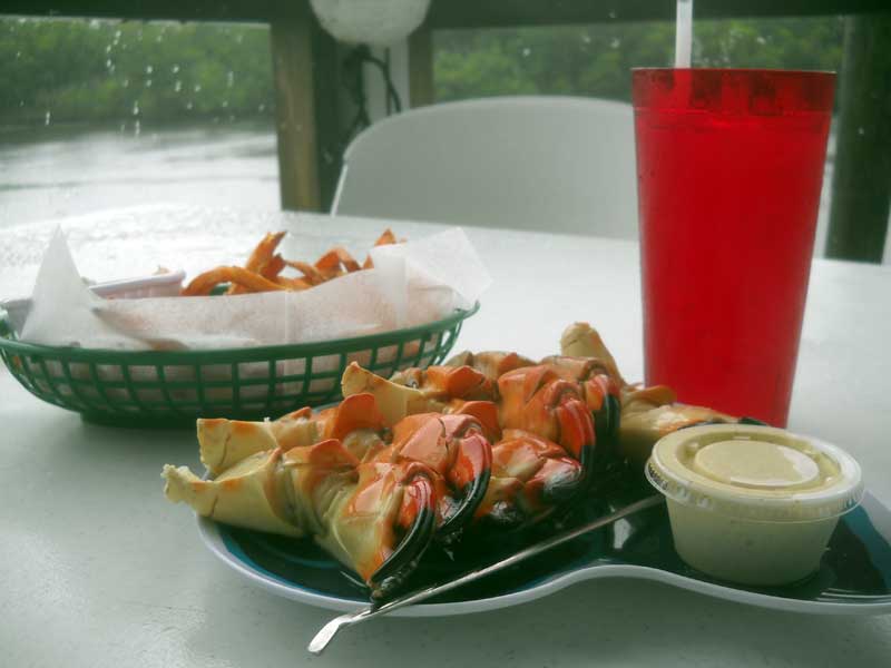 best seafood in florida Everglades City stone crabs Our favorite crab shacks and fish houses