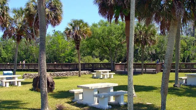 HP Williams Roadside Park in Big Cypress Preserve is a good place to see wildlife and have a picnic. (Photo: National Park Service)