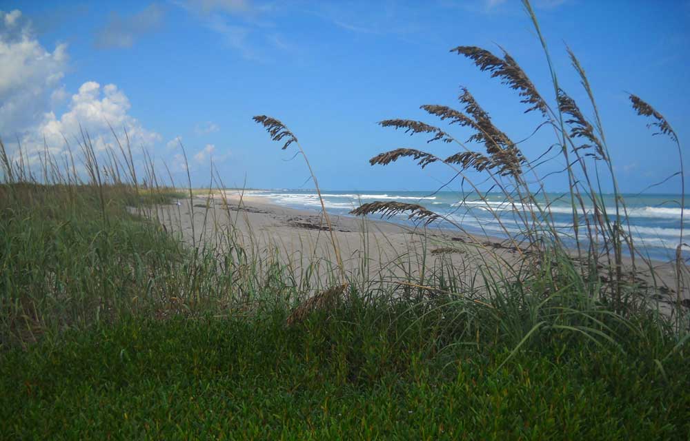 quiet beaches in florida Hobe Sound NWR beach Favorite secluded, quiet beaches in Florida
