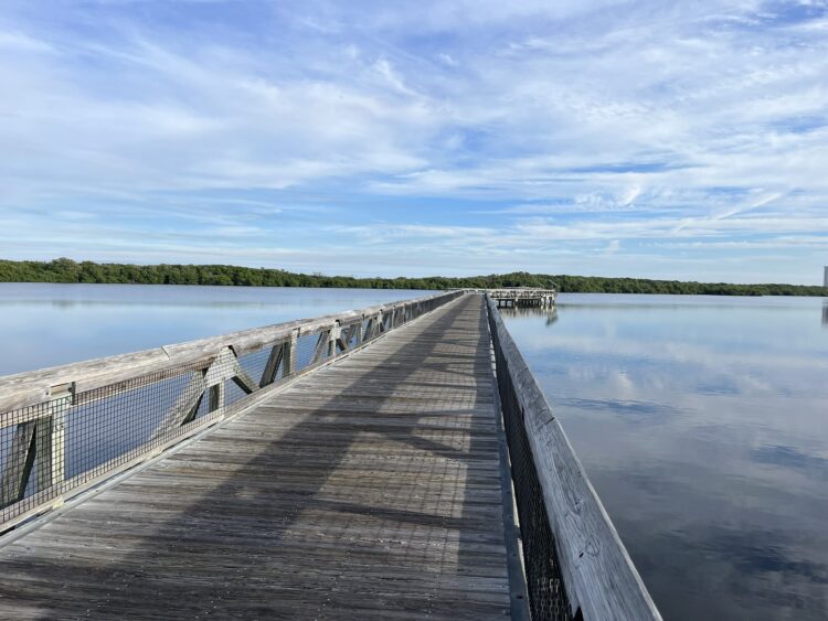 The boarwalk across the estuary at John D. MacArthur State Park is a short and beautiful walk, but you can also catch at free tram. (Photo: Bonnie Gross)