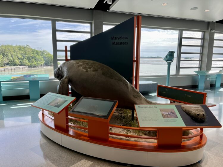 The Flamingo Visitor Center at Everglades National Park: You’ll learn about the manatees, which you are likely to see in the nearby marina. Note also the picture windows overlooking Florida Bay. (Photo: Bonnie Gross)