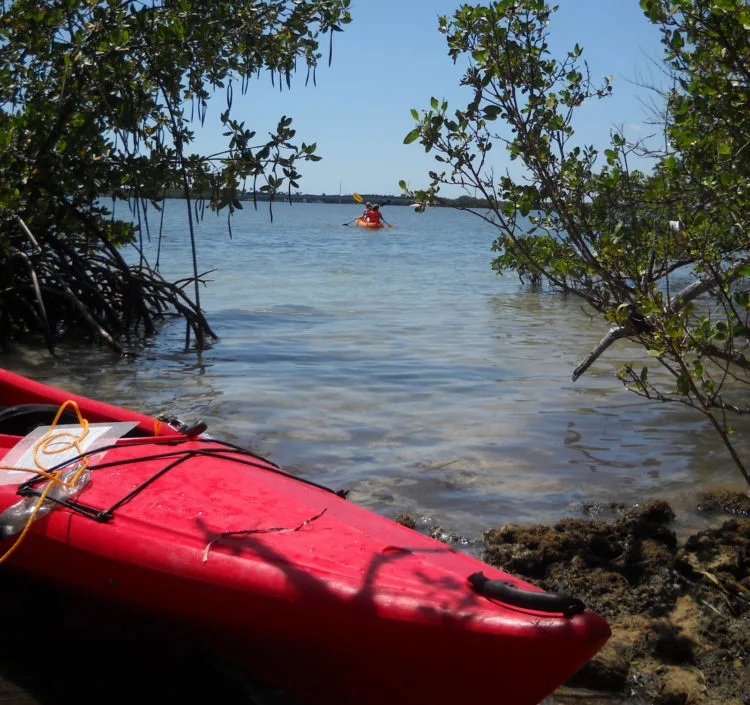 Things to do in Islamorada: Kayaking to Indian Key. (Photo: Bonnie Gross)