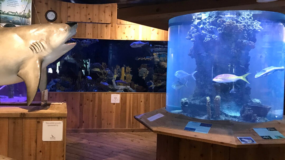 12 things to do in Jupiter FL Unspoiled nature; fun outings