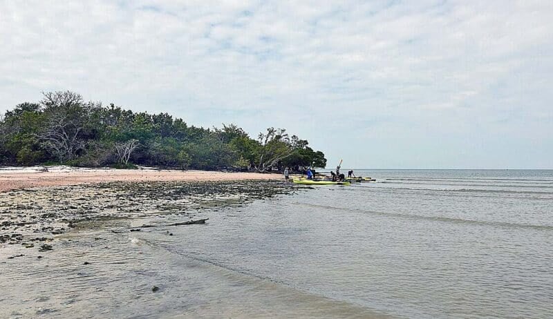 Ride the tide to Indian Key (A Ten Thousand Islands adventure) 1 ten thousand islands Kayakers Indian Key Landing Ride the tide to Indian Key (A Ten Thousand Islands adventure)