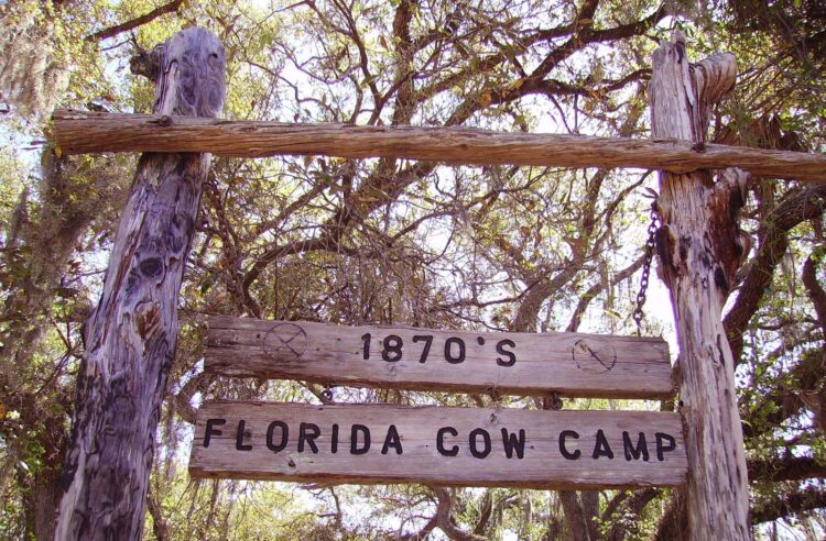 Lake Kissimmee State Park cow camp