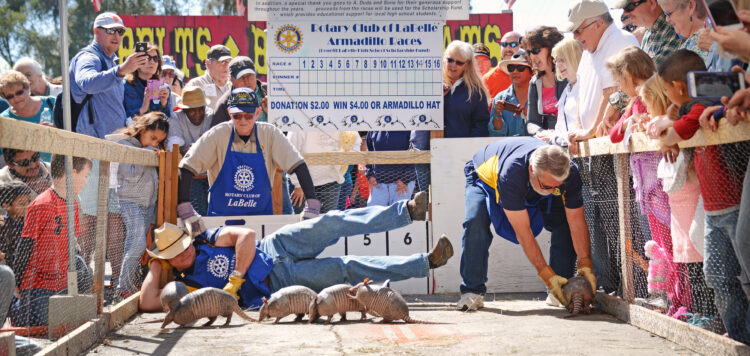 The Armadillos get some encouragement to head down the track at the start of the Armadillo Race during the Swamp Cabbage Festival in LaBelle. Photo by Peter W. Cross.