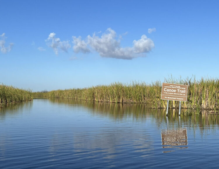 The canoe trail at the Loxahatchee National Wildlife Refuge is easy to follow with good signage from start to finish. (Photo: Bonnie Gross)