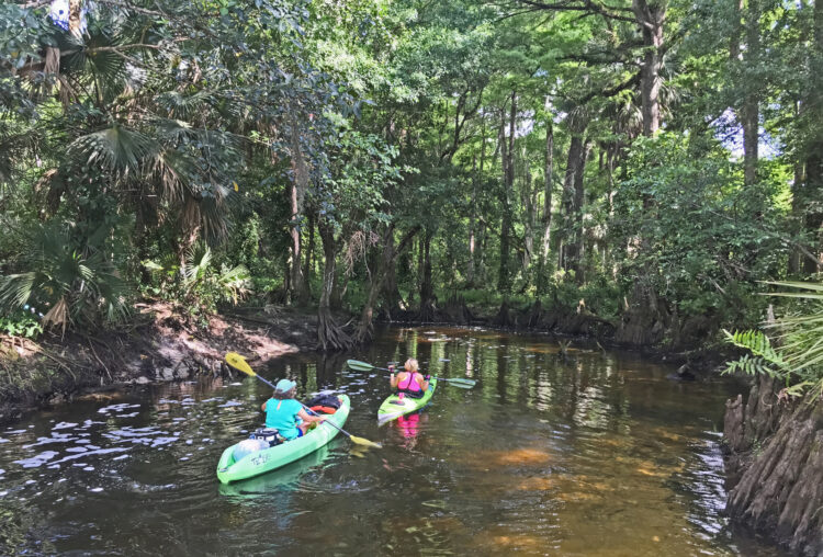 Things to do in Jupiter FL: Kayak the Loxahatchee River. (Photo: Bonnie Gross)