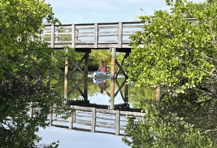 Kayaking under the boardwalk on a mangrove channel in the heart of Munyon Island at MacArthur Beach State Park. (Photo: Bonnie Gross)