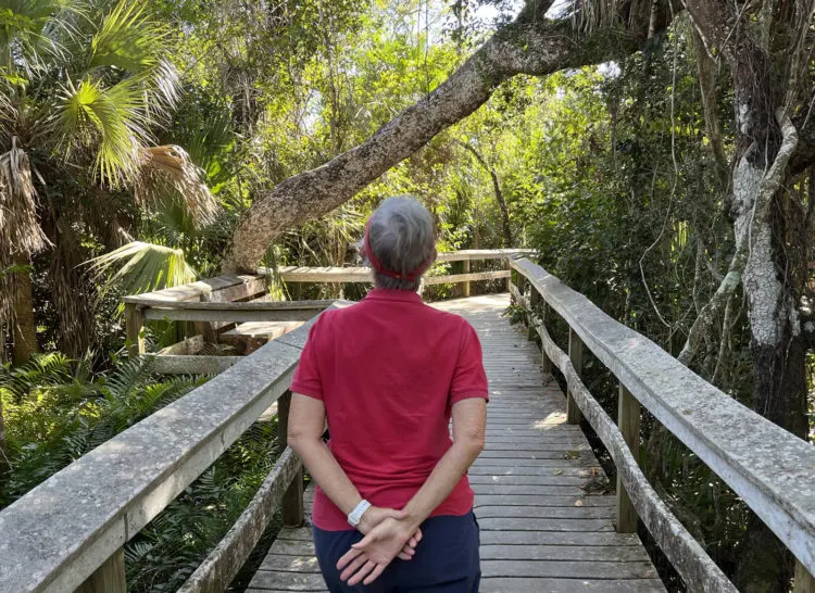 everglades national park Mahogony Hammock Everglades NP Everglades National Park: Insider tips from a longtime local