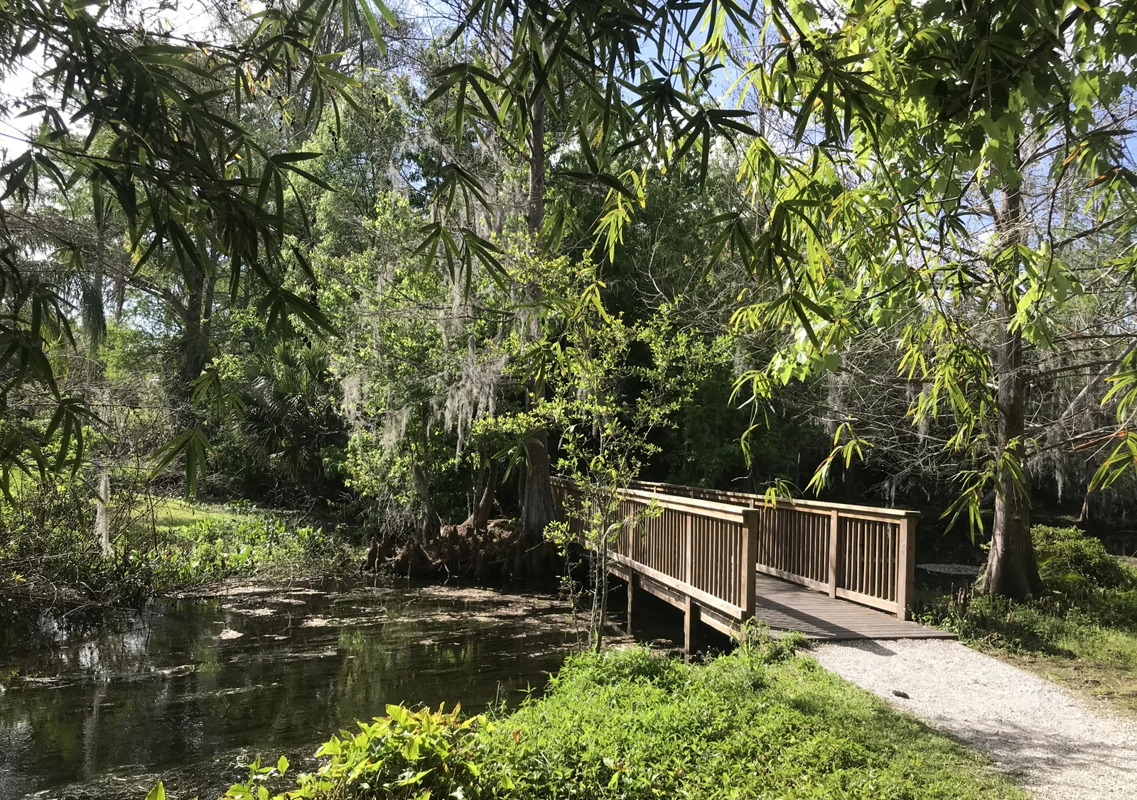 Things to do in Winter Park: Mead Botanical Garden offers a scenic walking trail. (Photo: Bonnie Gross)