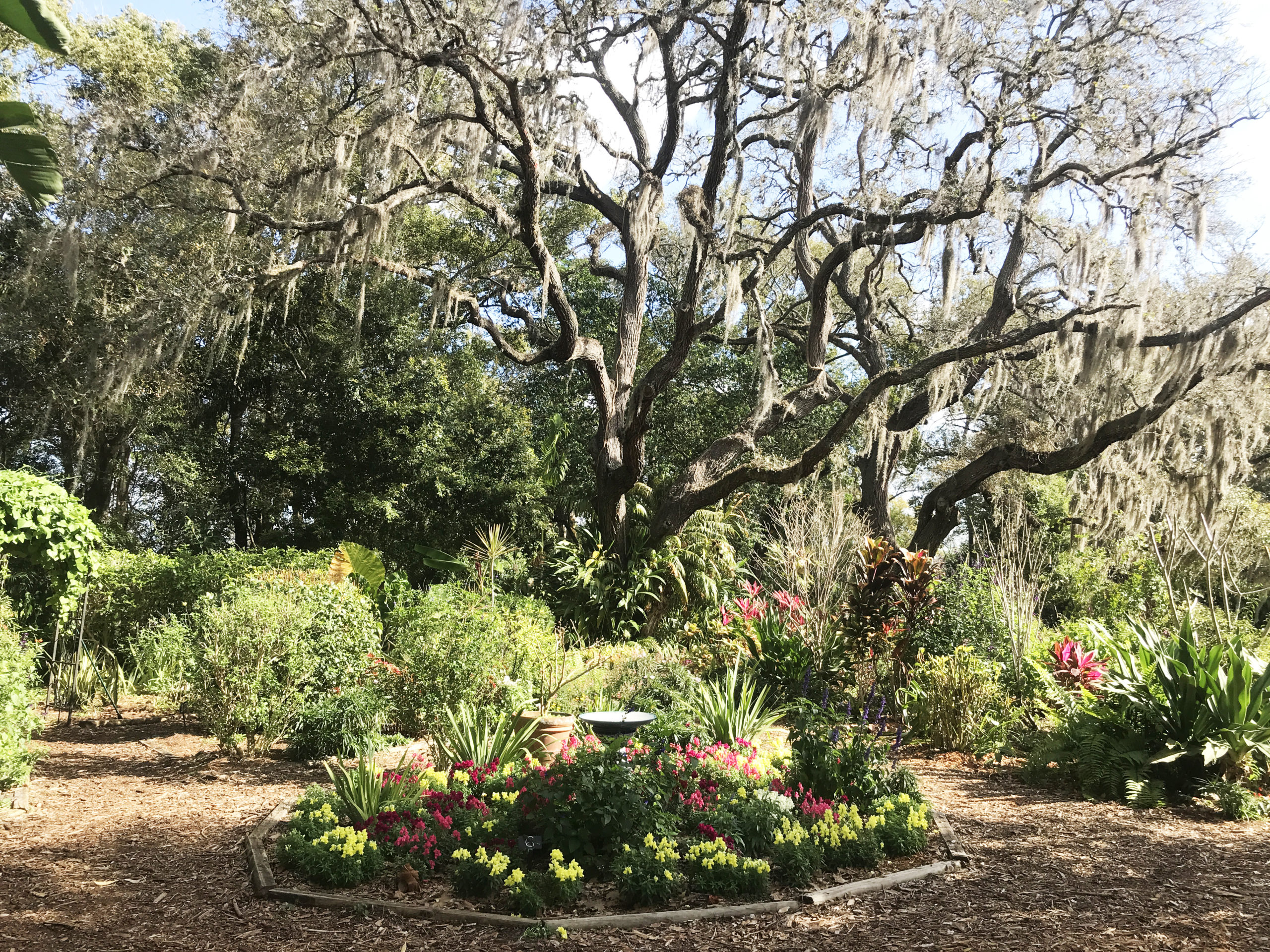 Things to do in Winter Park: A beauty spot at Mead Botanical Garden. (Photo: Bonnie Gross)