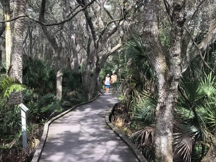 The boardwalk behind the Merritt Island National Wildlife Refuge Visitor Center is lovely and handicapped accessible. (Photo: Bonnie Gross)