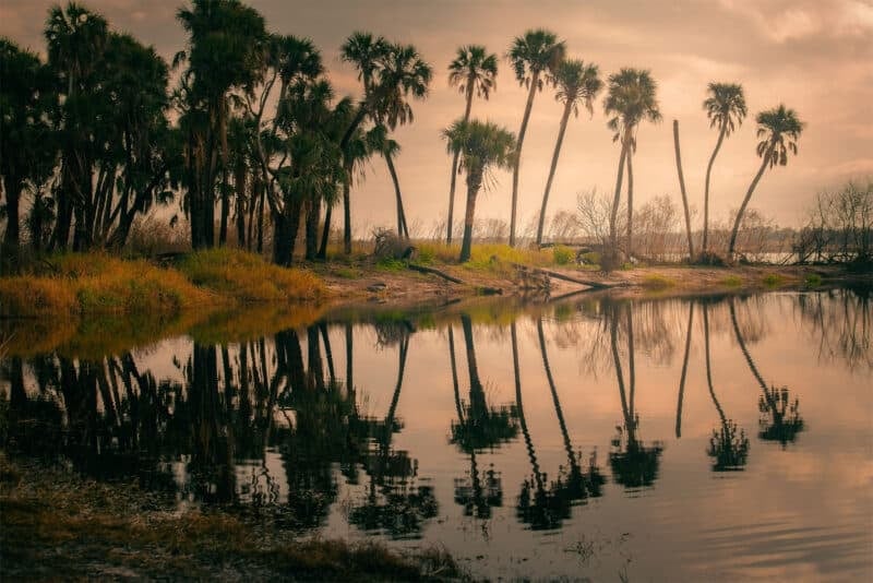 Florida State Parks photo contest: Grand Prize winners 'Capture the Real Florida' 1 myakka river state park, deep hole, deb skinner