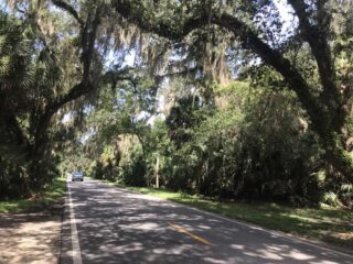 The Ormond Scenic Loop Trail links Bulow Creek State Park to three other state parks while leading you on a gorgeous route under a canopy of trees. (Photo: Bonnie Gross)