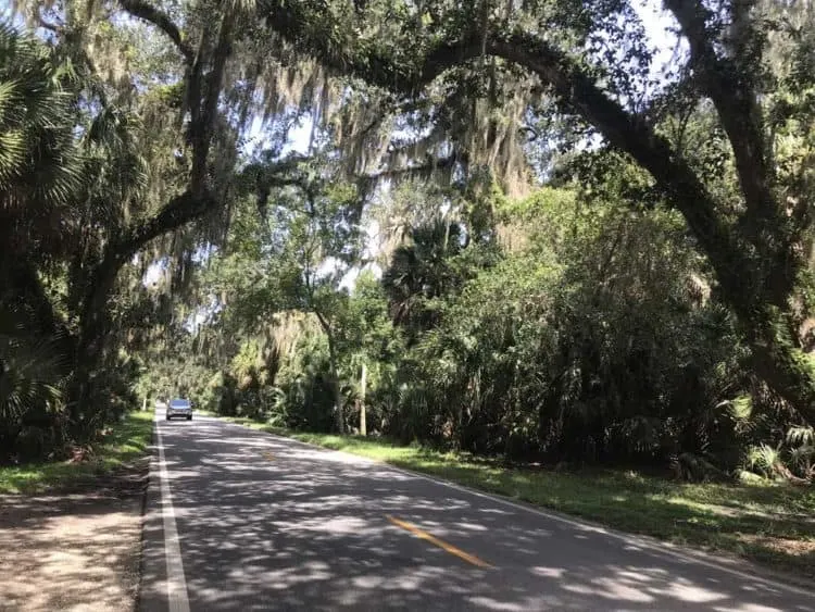 The Ormond Scenic Loop Trail links Bulow Creek State Park to three other state parks while leading you a gorgeous route under a canopy of trees. (Photo: Bonnie Gross)