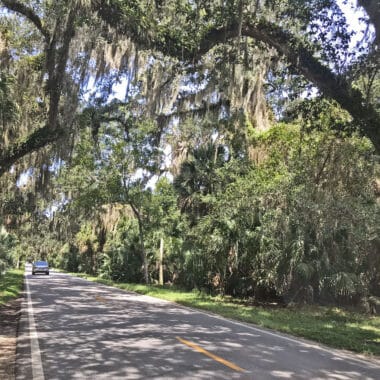 Ormond Scenic Loop Road has sections that pass under a canopy of Southern live oaks. (Photo: Bonnie Gross)