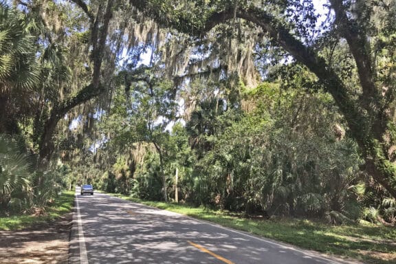 Ormond Scenic Loop Road has sections that pass under a canopy of Southern live oaks. (Photo: Bonnie Gross)