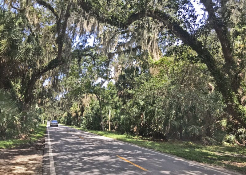 Florida’s Loop Roads: A tale of two scenic roads, six hours apart 4 Ormond Scenic Loop Road has sections that pass under a canopy of Southern live oaks. (Photo: Bonnie Gross)