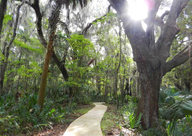 Trail to the observation tower on the south end of Paynes Prairie Preserve State Park near Gainesville.