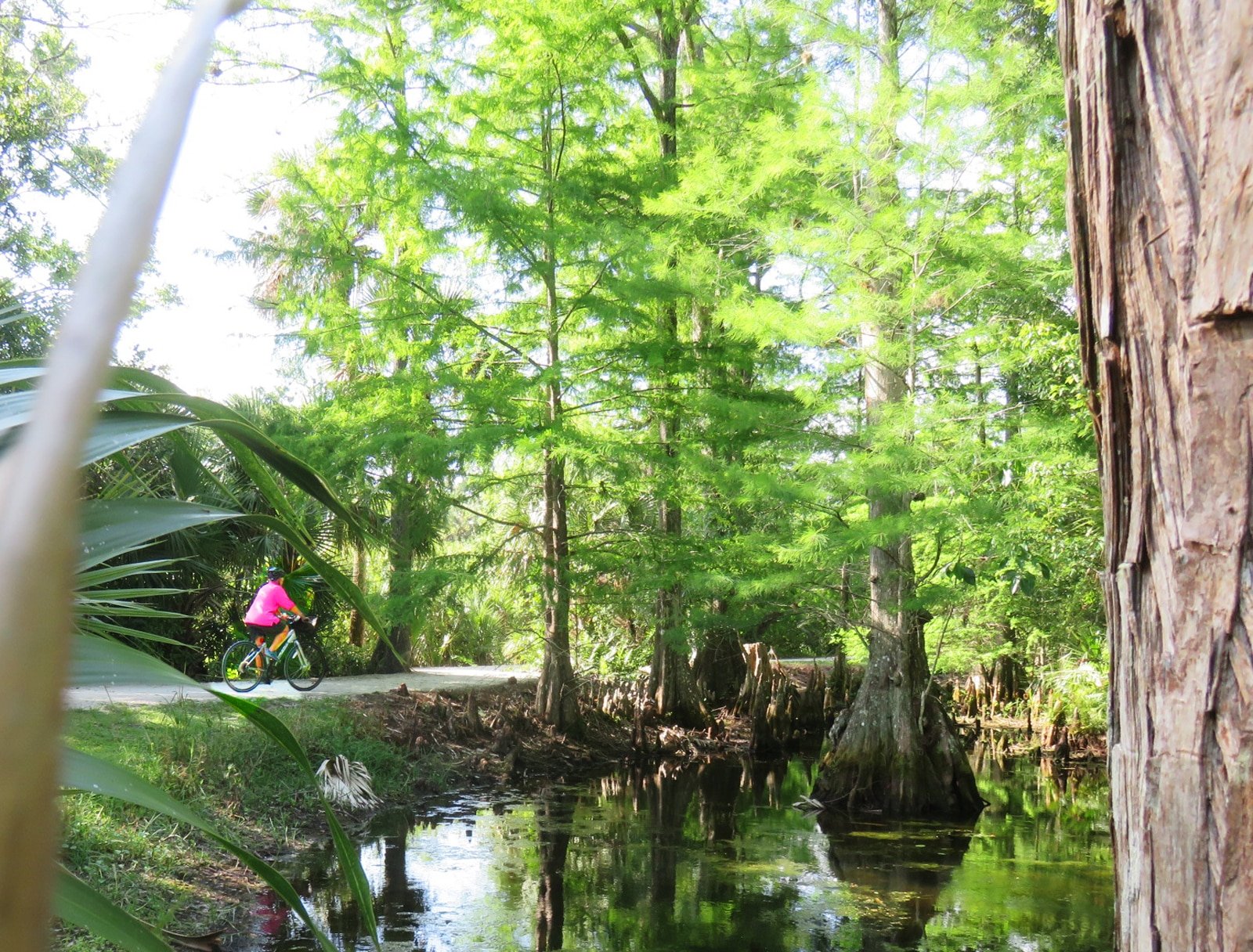 Riverbend Park, Jupiter Perfect trails for family biking