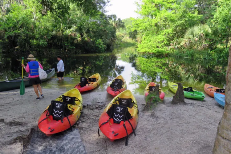 Riverbend Park, Jupiter: The kayak concession here is the place you launch to paddle the wild and scenic Loxahatchee River. (Photo: David Blasco)