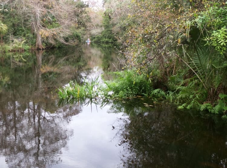 Riverbend Park in Jupiter: Trails ideal for family biking, outstanding kayaking 3 A paddler on the quiet waters within Riverbend Park. (Photo: David Blasco)