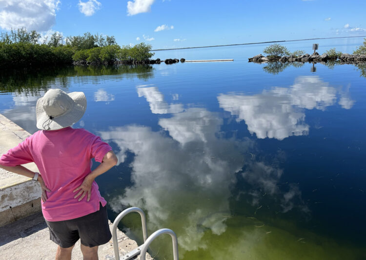 Florida Keys parks: The swimming hole at Rowell's Waterfront Park in Key Largo. (Photo: David Blasco)