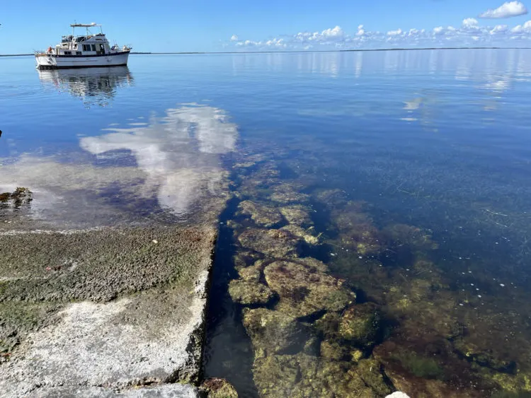 Florida Keys parks: The rocks along the shoreline at Rowell's Waterfront Park attract sea life for snorkelers to spot. (Photo: Bonnie Gross)