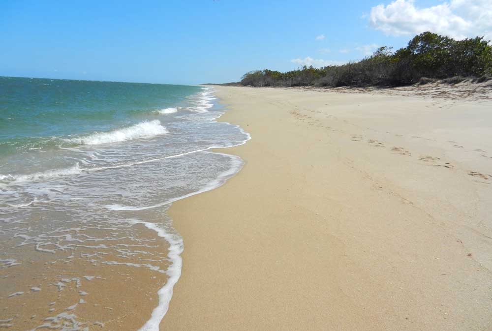 St. Lucie Inlet Preserve State Park can only be reached by boat, but it's worth the trouble. It's one of the most secluded and quietest beaches in Florida. (Photo: Bonnie Gross)