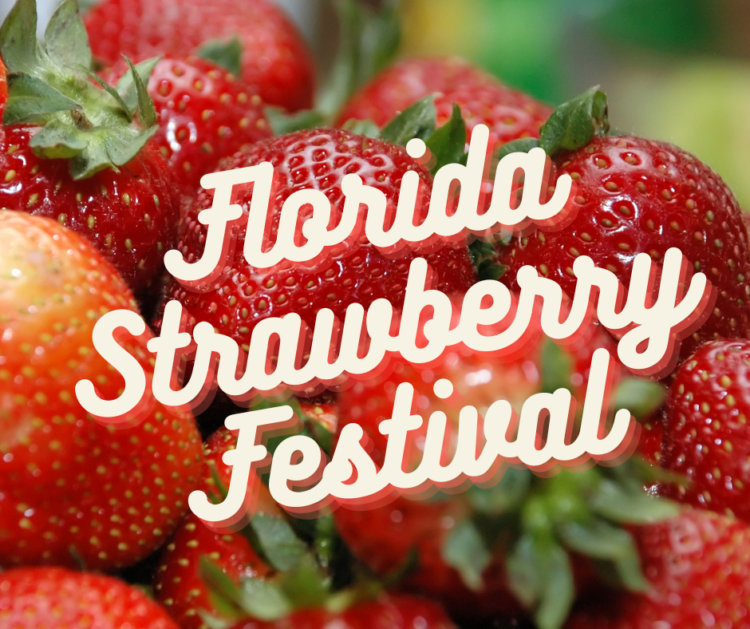 Florida festivals: A March highlight is always the Florida Strawberry Festival in Plant City.